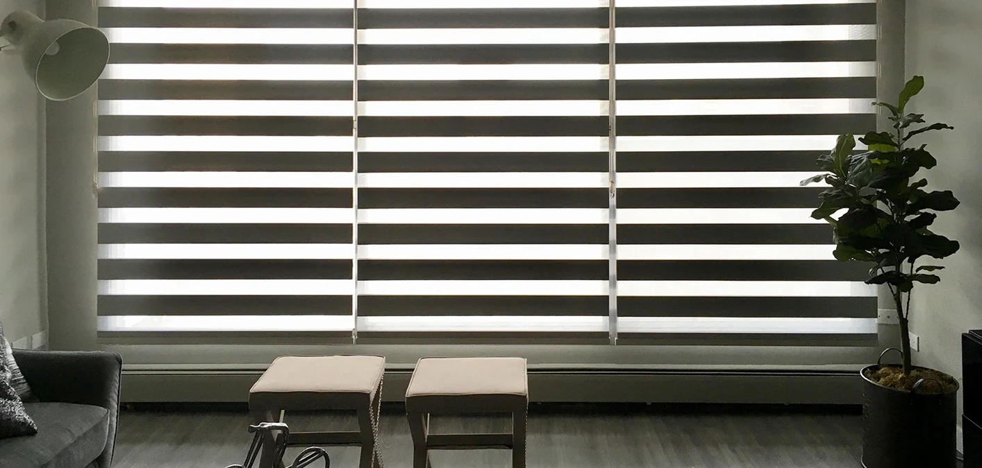 Dark dual shades in a seating area
