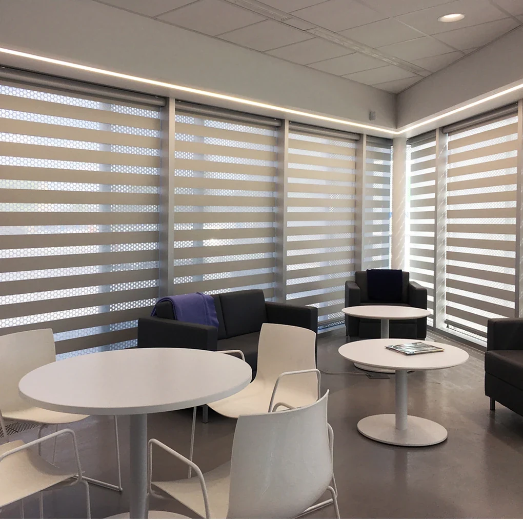 Light dual shades in a bright shared space